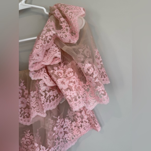 Zara Pink Lace Off-Shoulder Embroidered Crop Top - Picture 8 of 13